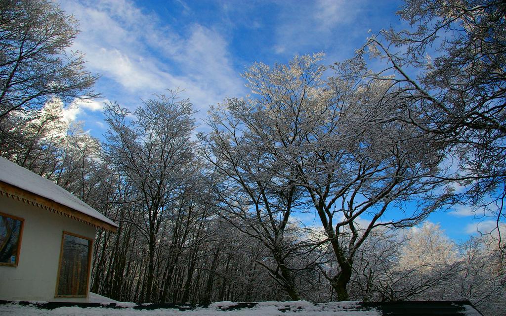 Familia Piatti B&B - Suites Ushuaia Esterno foto